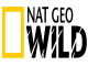 nat wild tv live